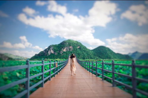 介桥村， 那片诗意盎然的土地
