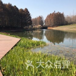 以前的荒芜， 如今的绿洲——一段不堪回首却又让人炎热泪盈眶的“翻身记”