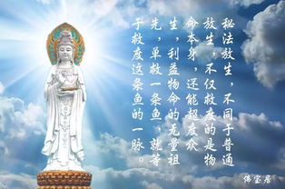 意外的雨天