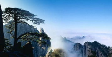 惯与那个说明书...