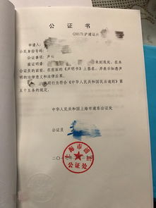 三、 签证办理
