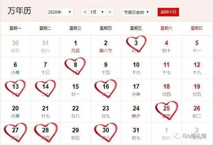 情感与现实的博弈