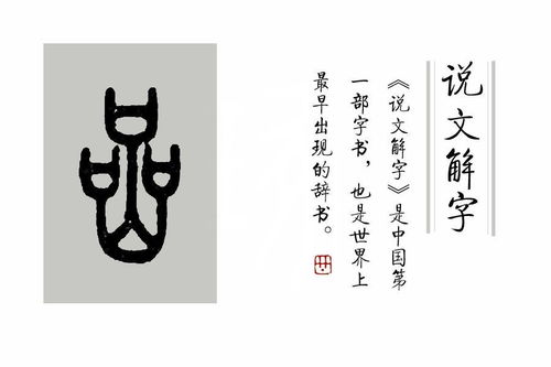 沉重塑自我：姓名学角度下的能量调整