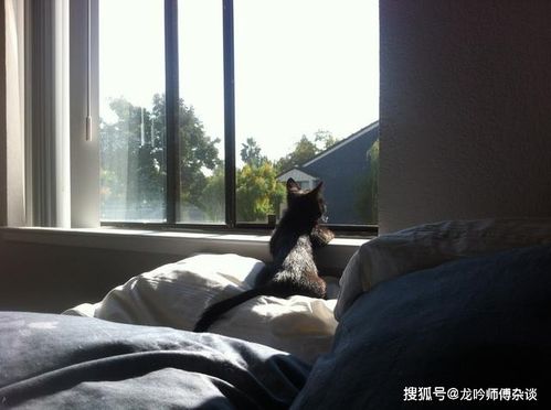 经常生病风水要怎么改善,经常生病跟家里风水有关系吗