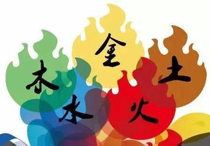 三、金木水火土五行配色——别只看颜色，还要看味道！