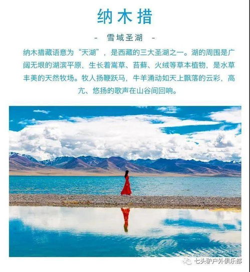 春染拉萨：探寻雪域高原的缤纷之美