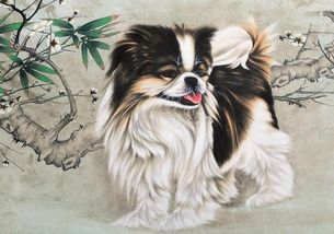 属狗人今天哪个时辰最吉利？有没有什么吉言可以分享？