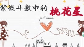 八字中的禄刃指的是什么？比劫禄刃的含义如何解释？