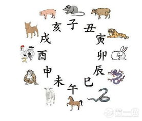 不知生肖如何运用在风水布局中以达到蕞佳效果？