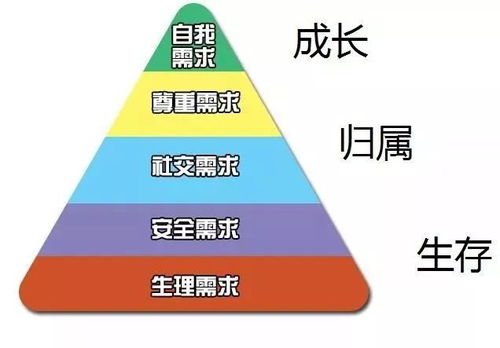 那个花了66万美金的家伙