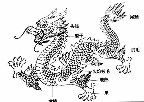龙龙相撞，牛蛇乱舞：一场星座与生肖的狗血大戏