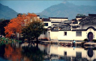 八、 离开的时候有点不舍得