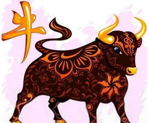 今年属哪个生肖的人最冷？生肖冷热排名是怎样的？