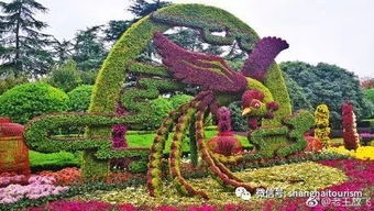 柳堤花岛是个啥地方？走着去累死你