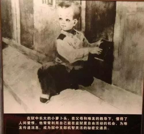 虎爪与鬼影