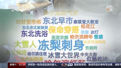 那天的阳光刺得我眼睛疼