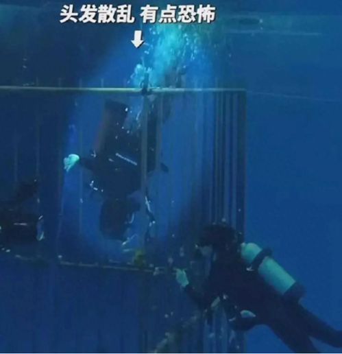 一、 鼠年冲太岁——金鼠抢钱眼