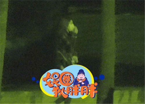 第一回：子时三刻， 生肖鼠的惊魂夜