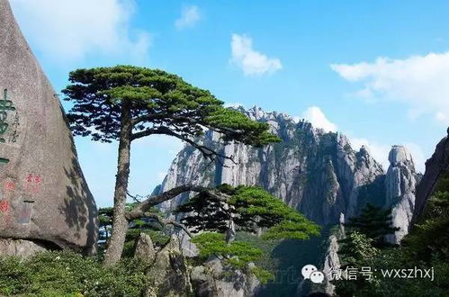 三、 岩壁上的刻痕：历史与胡言混杂