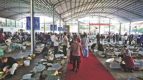 太原玉石交易市场的繁华程度爆表