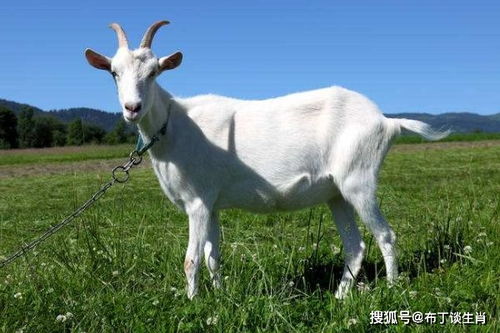 一、 先聊聊这个秋分的特殊之处