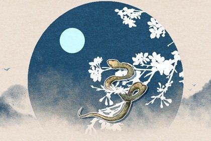 2026年77年属蛇女性运势如何？综合运势怎样？