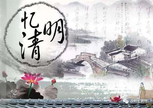 清明回老家有什么讲究,清明回农村老家的心情说说短语
