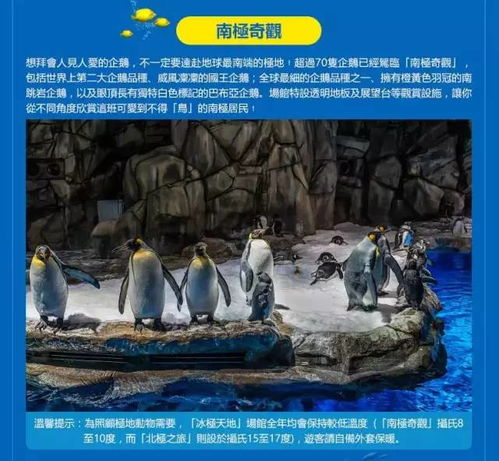 隐藏福利！学生党必看