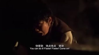 生肖篇：动物们的情感大戏