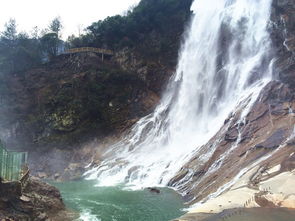 2025年真实惨案大曝光！