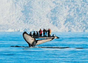 L O S T & FOUND：失落与发现交织的人文地图