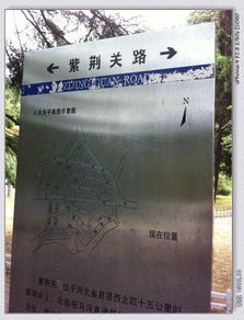 ：一场说走就走的旅行？还是钱包的劫难？