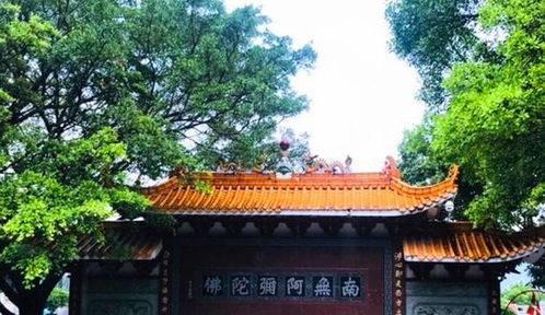 2. 弘法寺：香火旺盛是良好是较差？