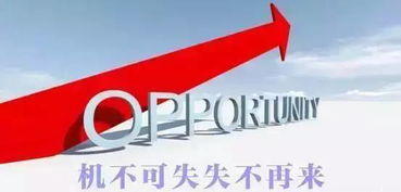 一、乱七八糟的历史持续发展碎片与今后愿景