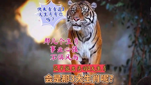 兴风作浪起祸端，虎口脱险生还，这微打一生肖究竟指的是什么生肖？
