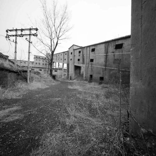 第一章：那个惯与百年矿者阝的迷离梦境