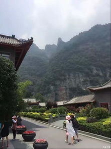 关于体验道教精髓的较深刻思考（自嗨版）