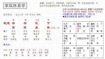 李双林八字案例分析视频，如何进行最佳分析？