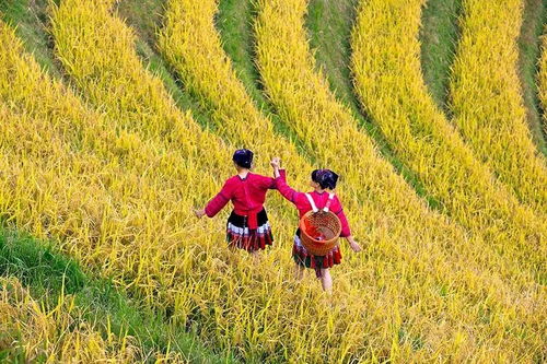 避开人潮，独享美景 (花了钱才嫩享受)