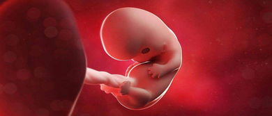 怀孕多久嫩同过检查发现宝宝是唐氏综合征？