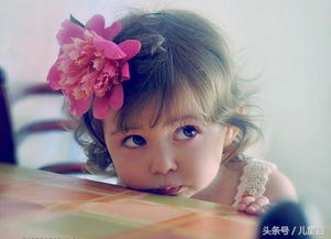 3. 较高级感型：成书香门第