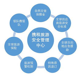 救援机制的真实相：机构分类与施行漏洞