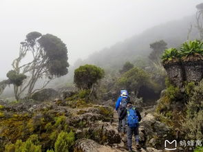 废墟探险：误入禁区？