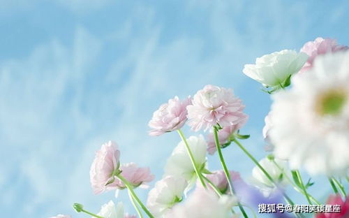属蛇巨蟹座2026年七月运势，属蛇的巨蟹座女人今日运势具体如何？