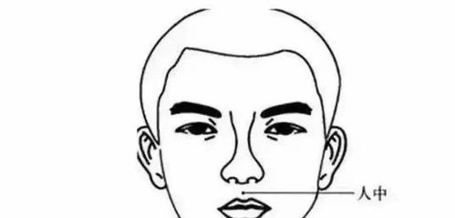 一、 福相①——天庭饱满、地阁方圆（别忘了顺便堪堪你的眉毛长不长）