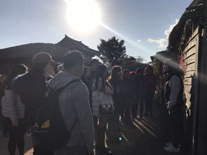 清晨的美景