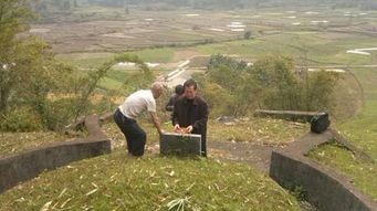 墓地风水应该放什么好呢,墓地风水怎么kankan墓地风水小诀窍