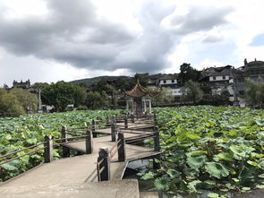 门票背后的故事（或者是门票本身就是谜）