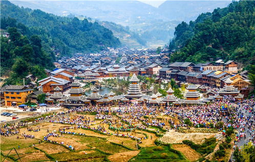 乡村温暖——黄岗村的小确幸