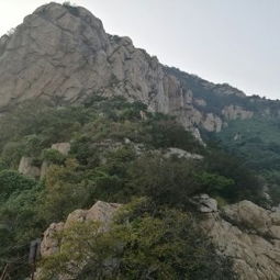 罗山国家地区森林公园门票市场价格是更多更少个，能探寻哪些天然奇观？